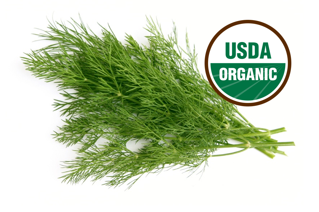 Dill - Fresh Grown Farms LLC